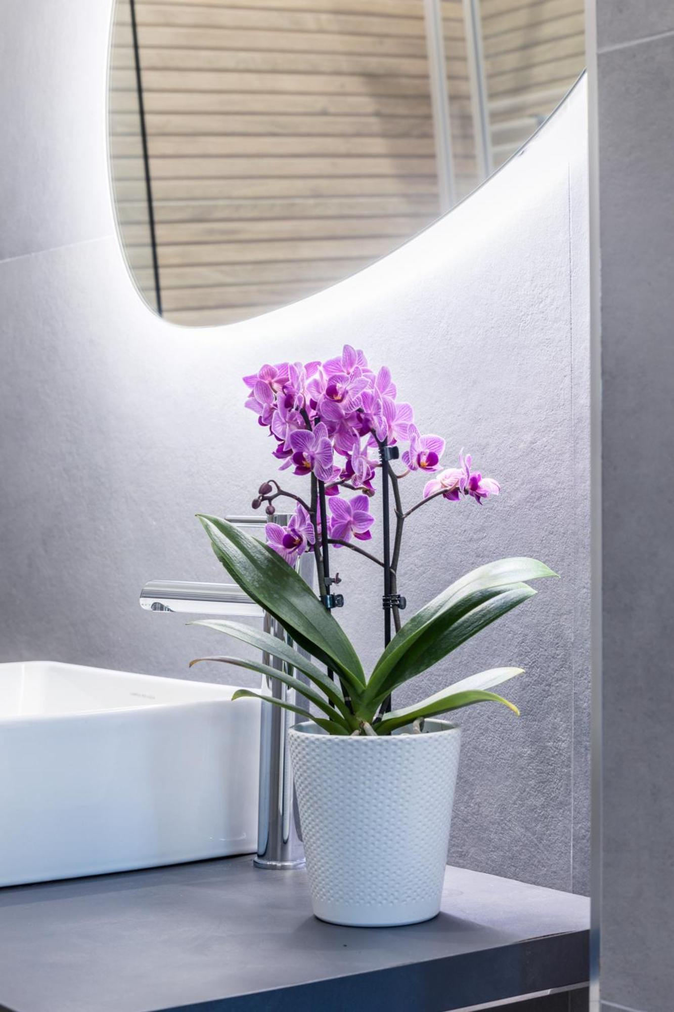 Mhouse Roma Apartment Ngoại thất bức ảnh